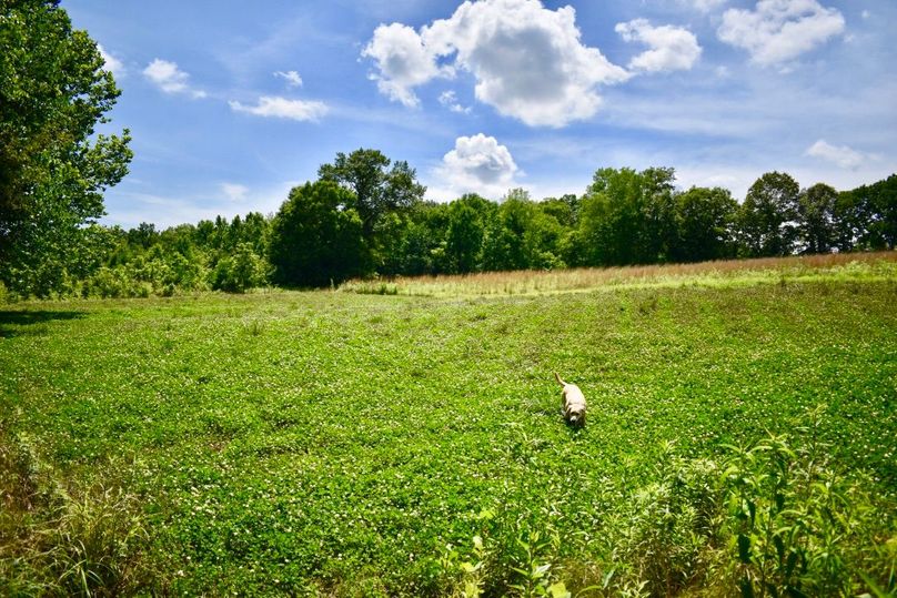 Li3n8ntorrwtx9 wo9dt6q thumb 61a4