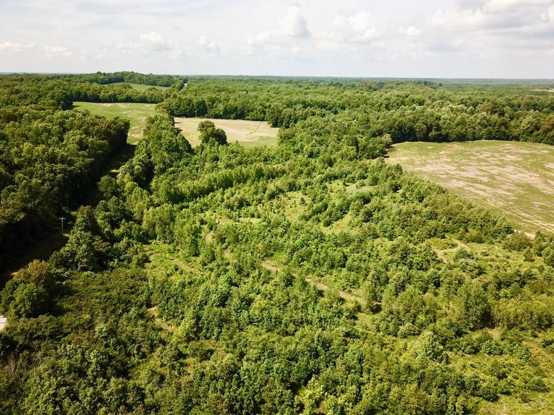 Pwgaiog0s5cmv6hz3vqvta thumb 614a