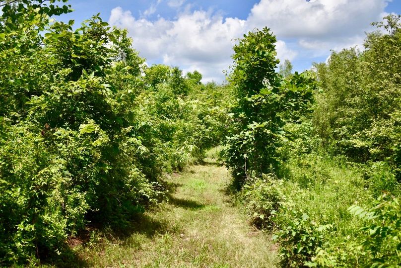 Qplrz1vqtgsmpjt3getnyw thumb 61ac