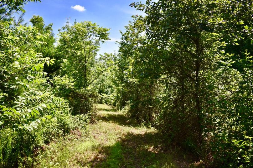 Tw4knwhfq76xolomsrhywq thumb 61aa