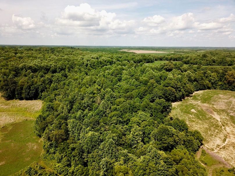 V7ls4h0brqix2tt2mslklw thumb 6148