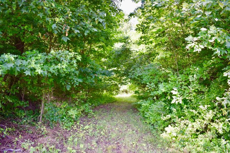 Vs3poblmt8nlzowgpymsg thumb 61bb