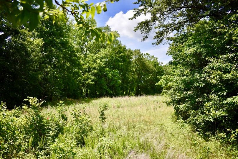 Wr465fmrwkswgidoi9hra thumb 61a9