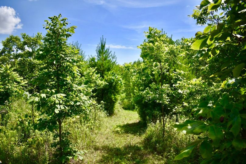 Xymqerv1q6yiwrwsxahe7q thumb 61af