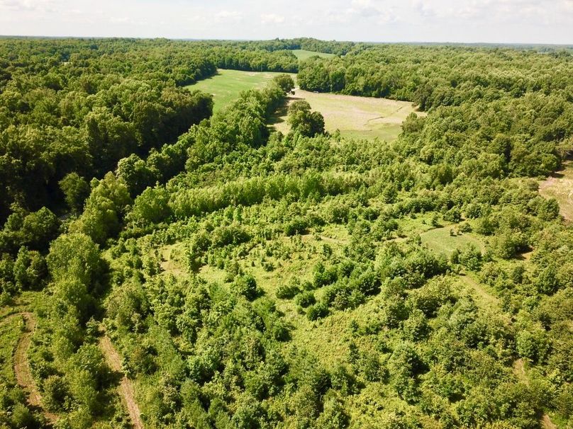 Yvxo8puqrhmpdwauv0oskg thumb 614e