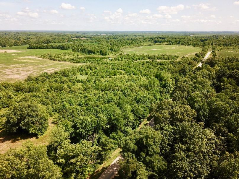 Yxorbumzq4ij6l7czjc4bw thumb 6145