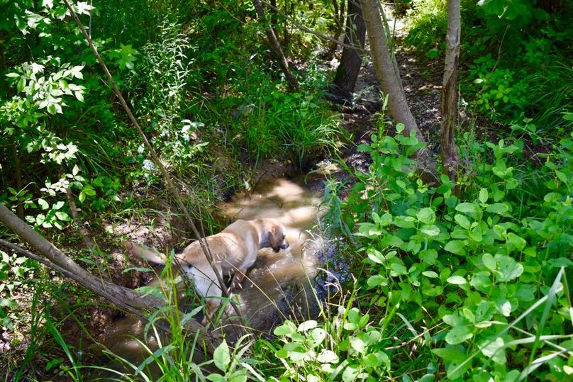 Z7tgqsearokihypjlxfckw thumb 61ad