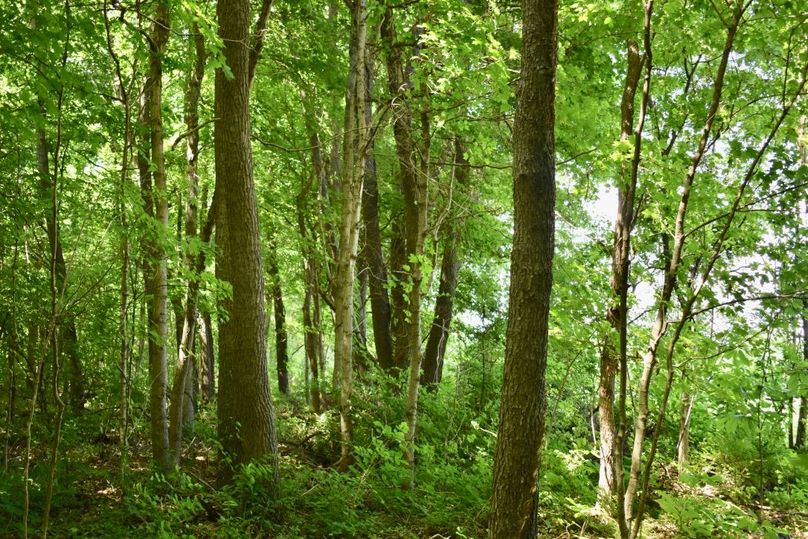 Z9yiikg4t1wusfee8utyqg thumb 61be