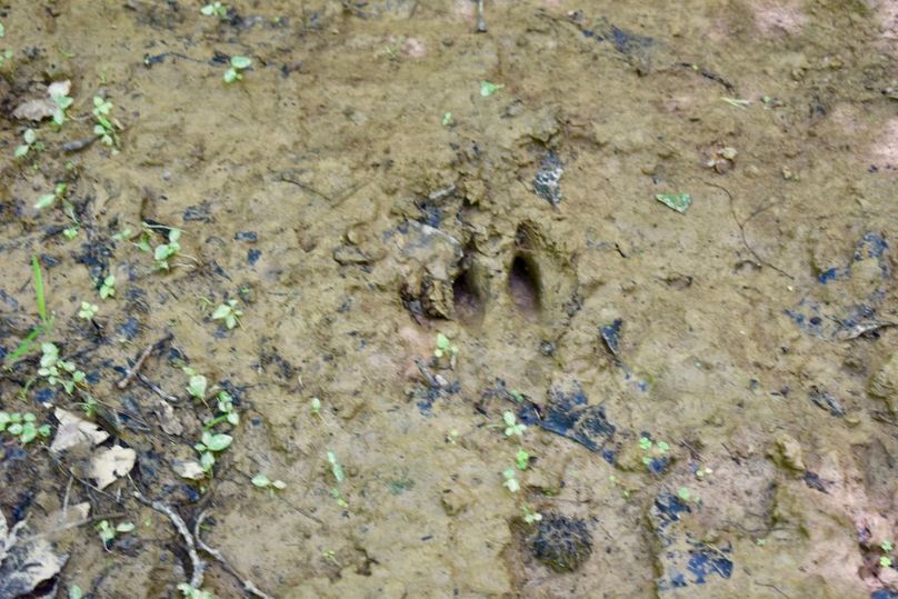 8e1czhxpram4mtmeozpy8a thumb 61c1