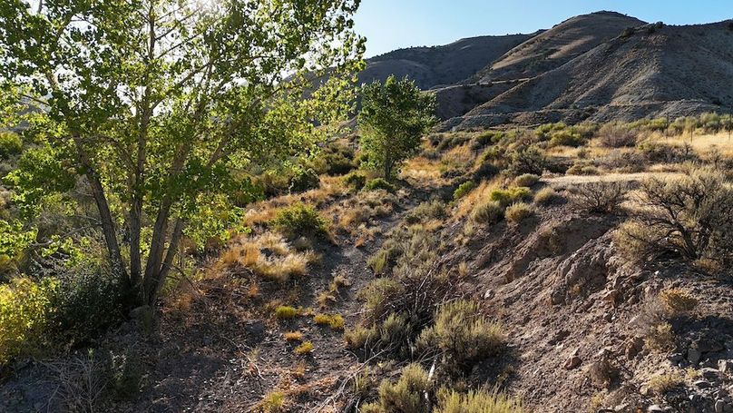 Salina Creek Acreage with Water Rights24