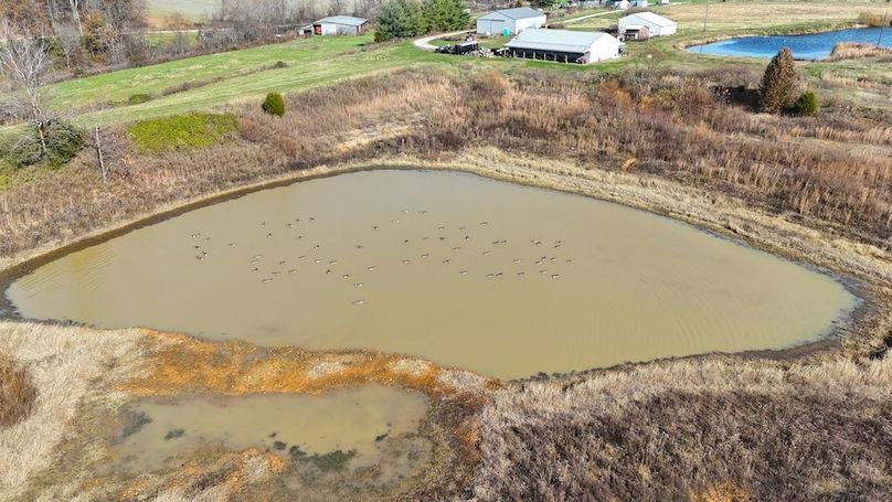 DJI_20251112132809_0567_D