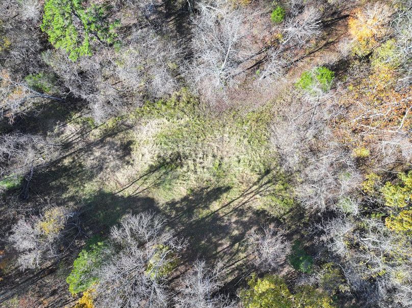 DJI_20251104130927_0858_D