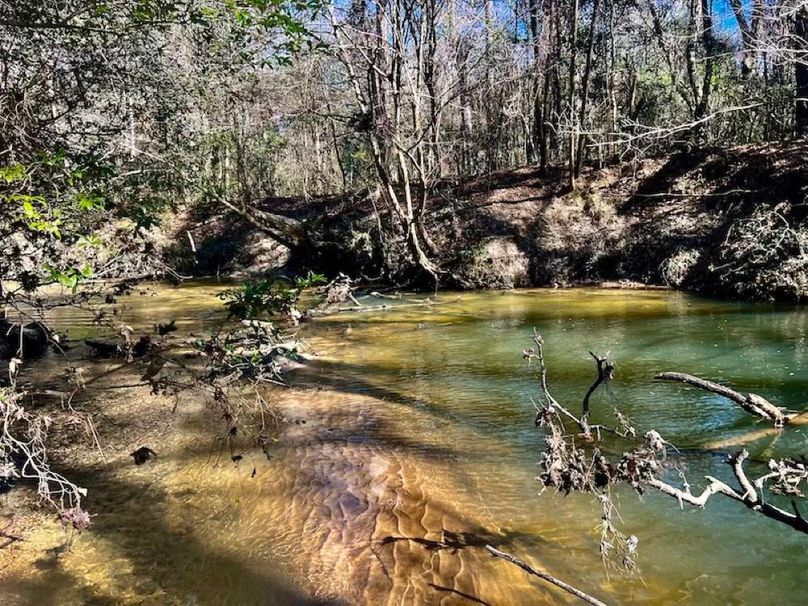 B114AE79-6DBD-4DB6-8390-F91B70CDCFE8_1_201_a