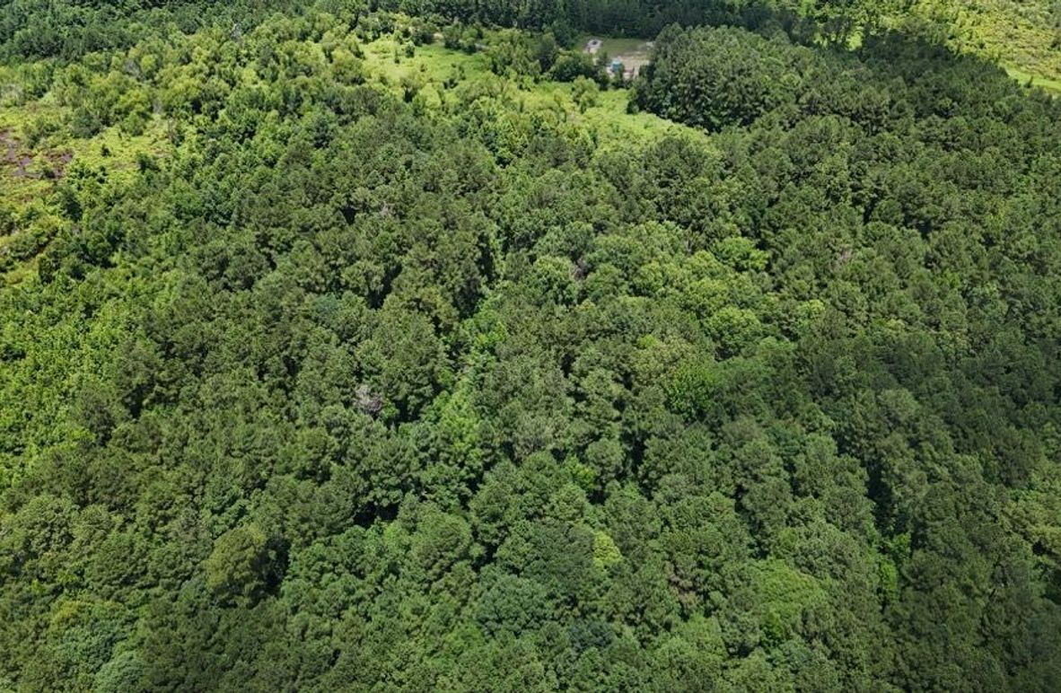 DJI_20250620020900_0634_D