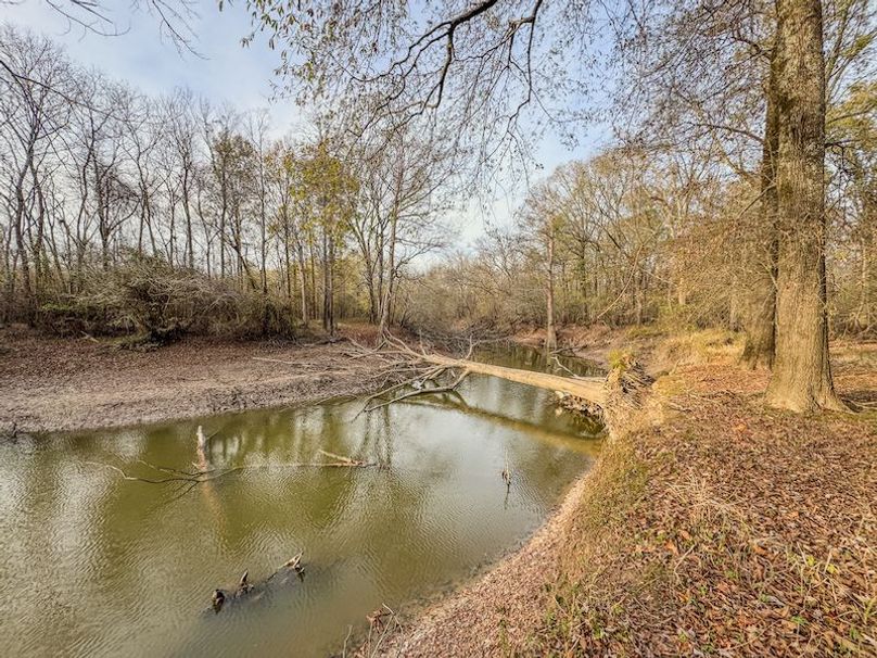 St. Francis 216.9 Calvin Parker Farms Profile -46