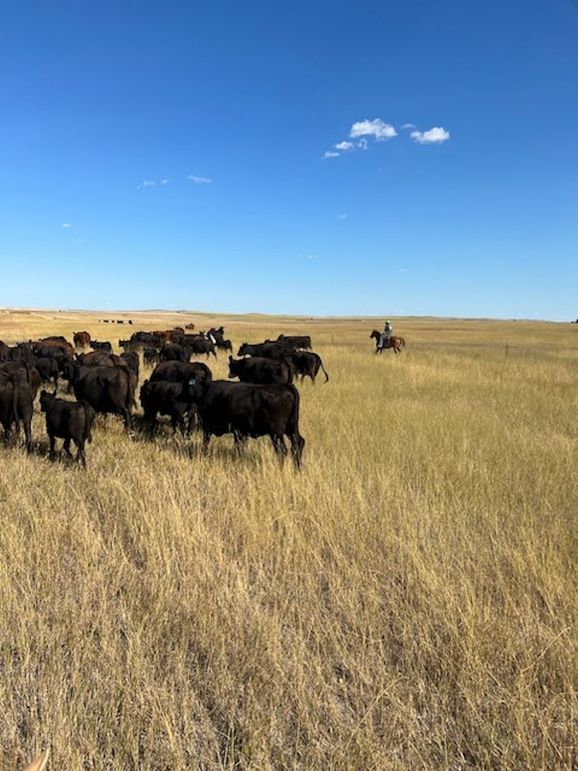 30ab50ec-4ce5-4a46-9d58-5e5657066694