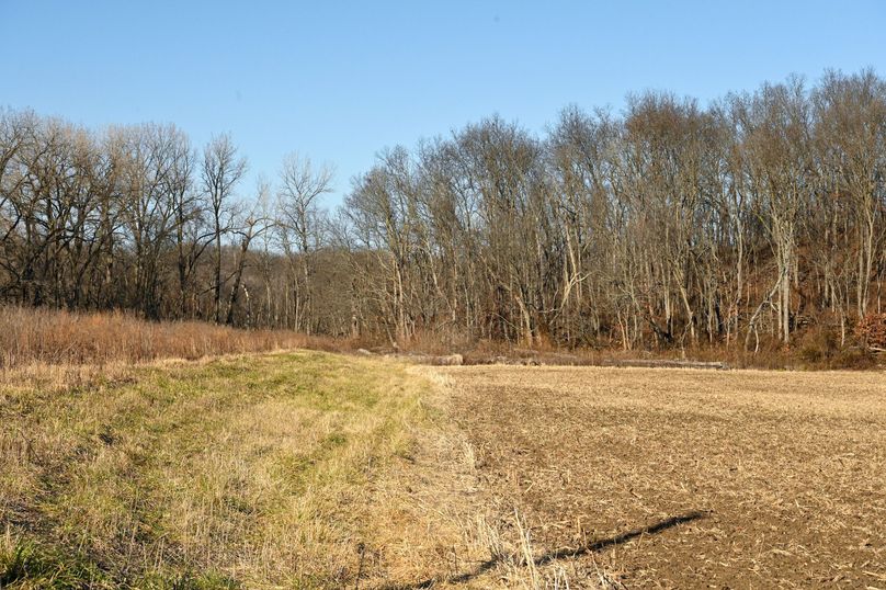 vandalia 450 (2)-674