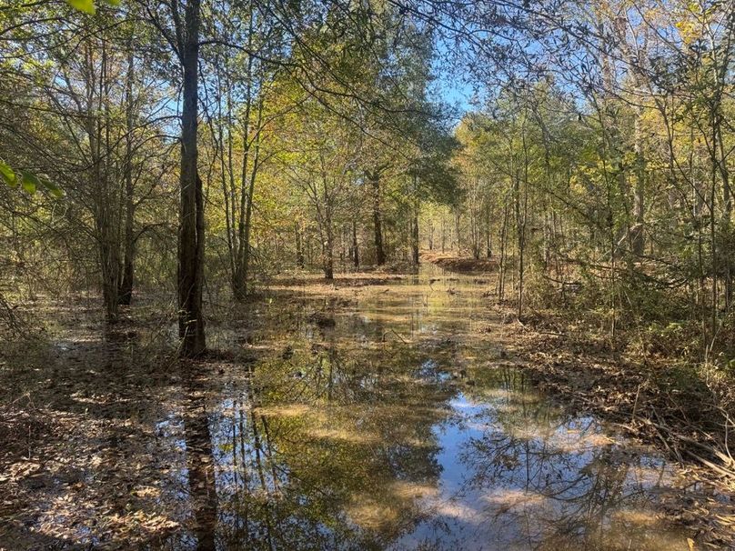 1a1 jeff 8320251111_0252