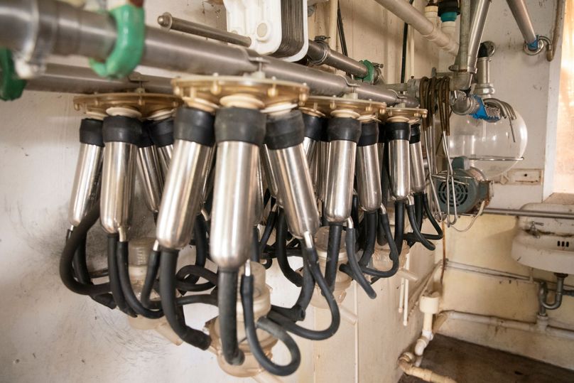 Farmer oswego 244.24 24