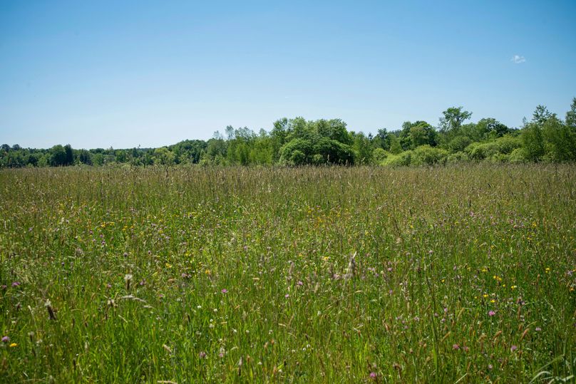 Farmer oswego 244.24 28