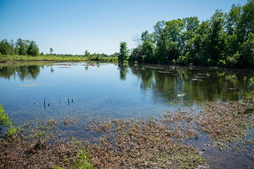 Farmer oswego 244.24 29