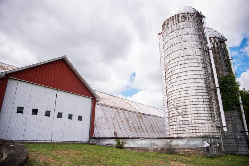 Farmer oswego 244.24 21