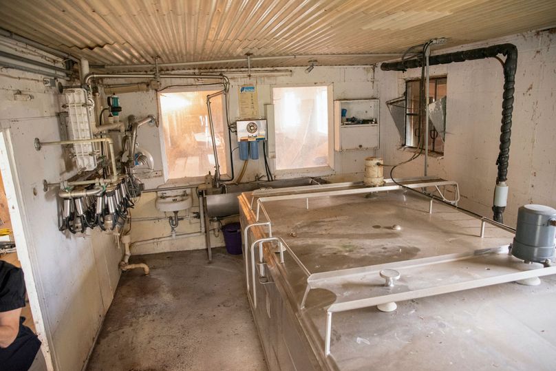 Farmer oswego 244.24 23