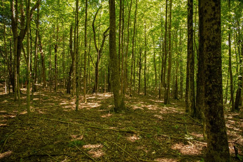 Farmer oswego 244.24 35