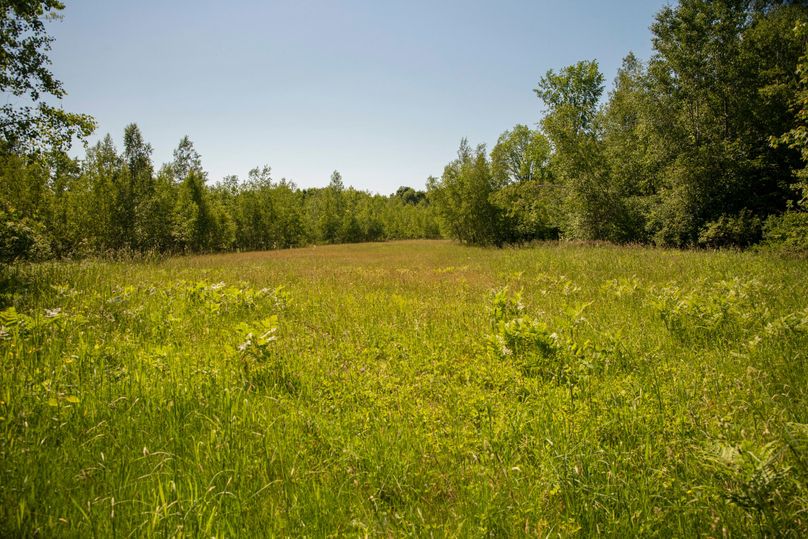 Farmer oswego 244.24 36