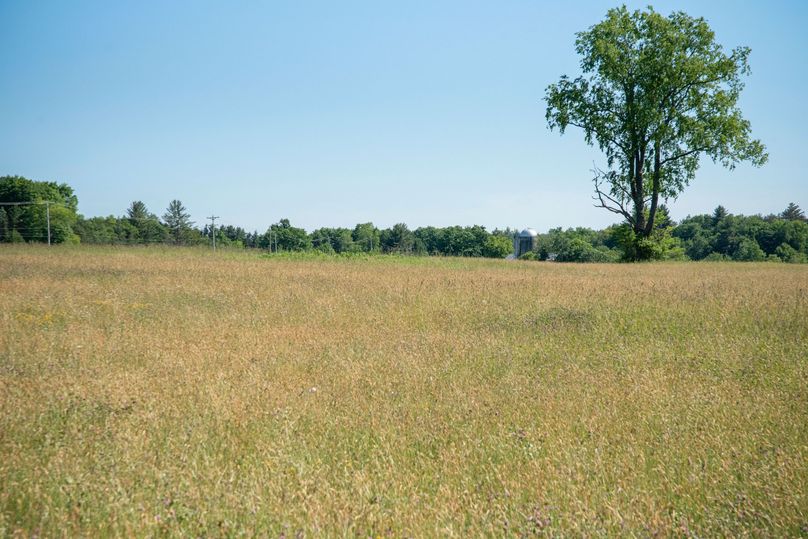 Farmer oswego 244.24 38