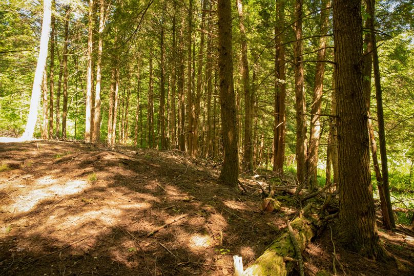 Farmer oswego 244.24 30