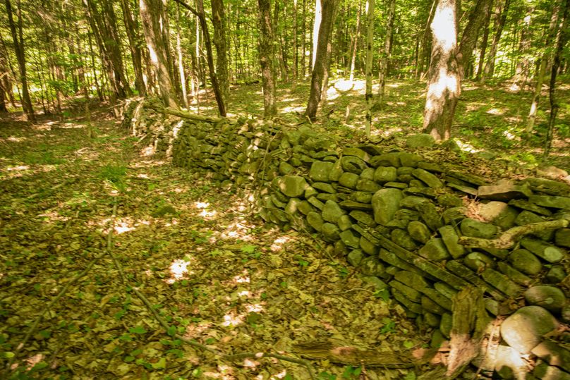 Farmer oswego 244.24 31