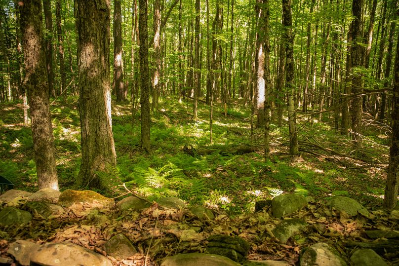 Farmer oswego 244.24 33