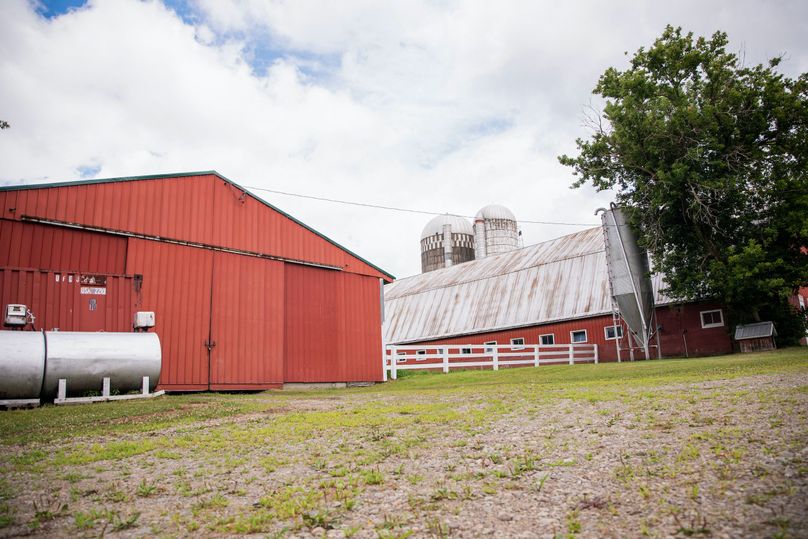 Farmer oswego 244.24 47