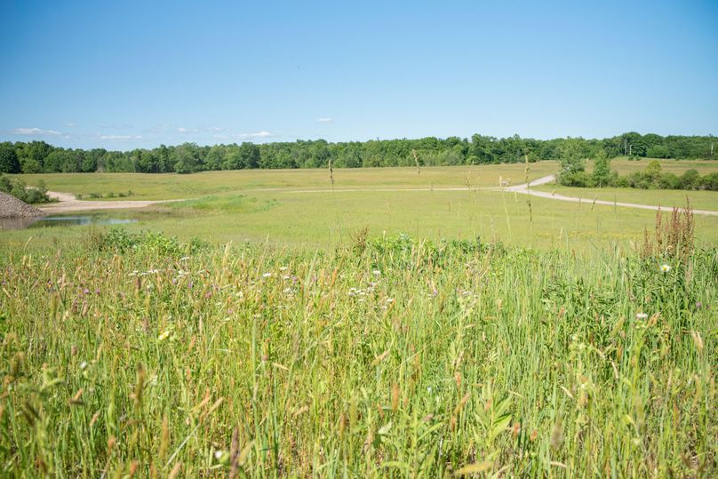 Farmer oswego 244.24 40