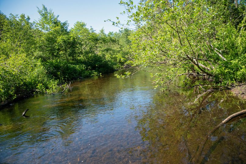 Farmer oswego 244.24 41