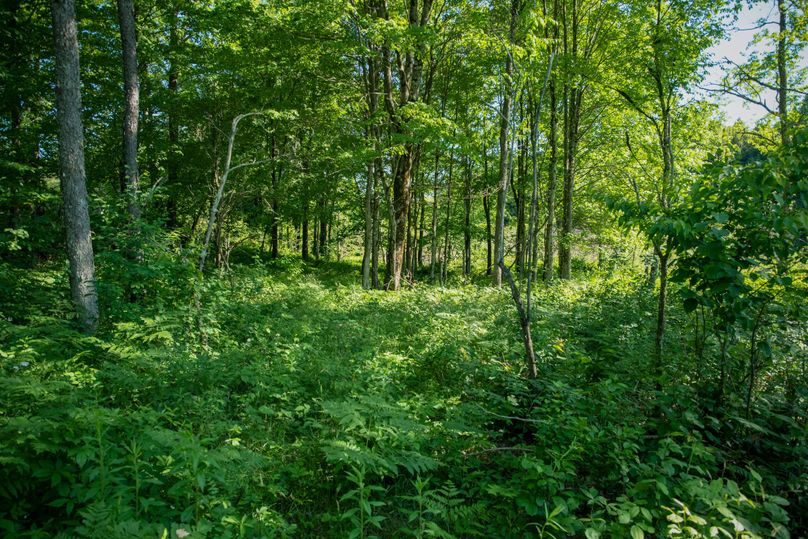 Farmer oswego 244.24 43