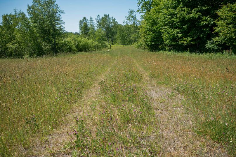 Farmer oswego 244.24 54