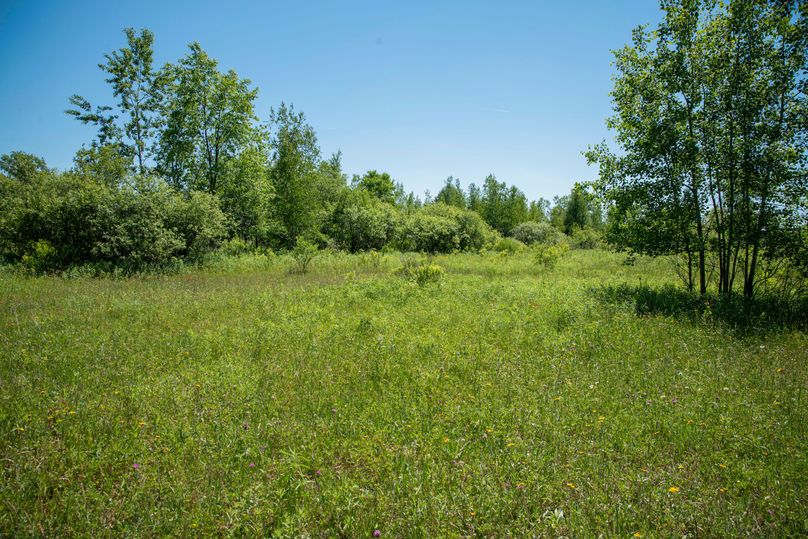 Farmer oswego 244.24 55