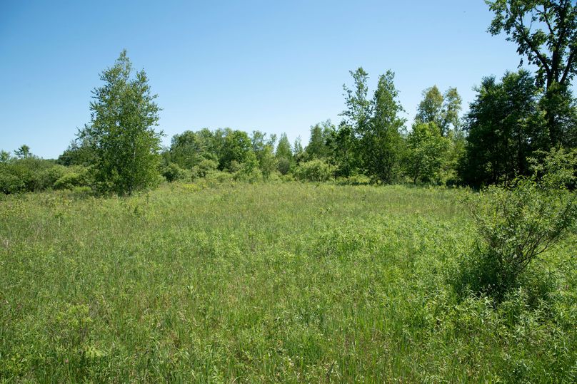 Farmer oswego 244.24 56