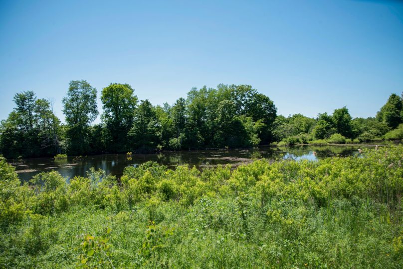 Farmer oswego 244.24 58