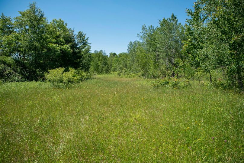 Farmer oswego 244.24 59