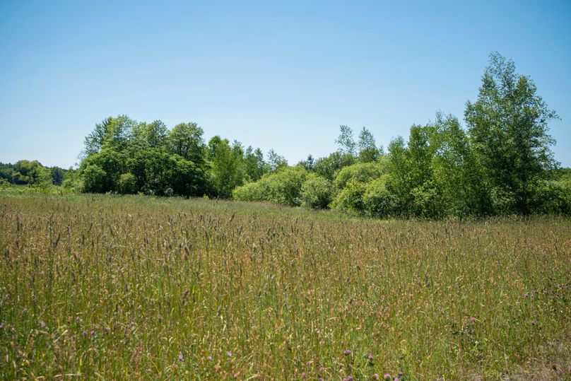 Farmer oswego 244.24 53