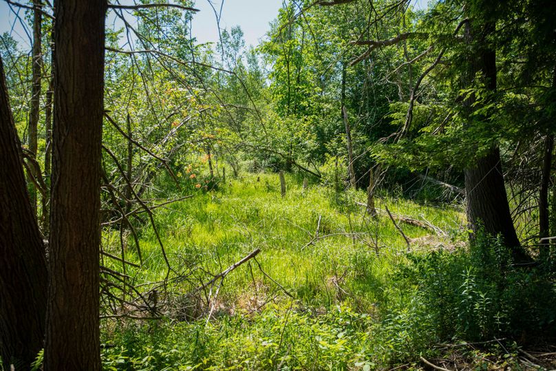 Farmer oswego 244.24 64