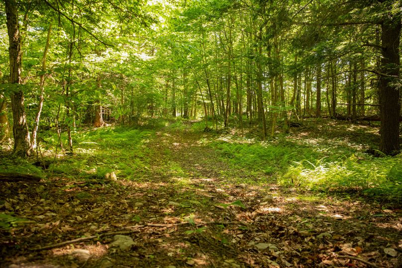 Farmer oswego 244.24 65