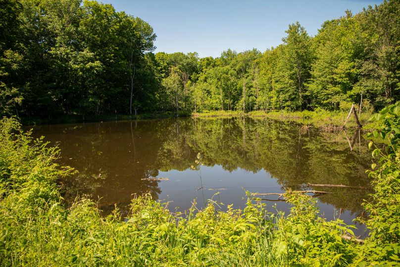 Farmer oswego 244.24 68