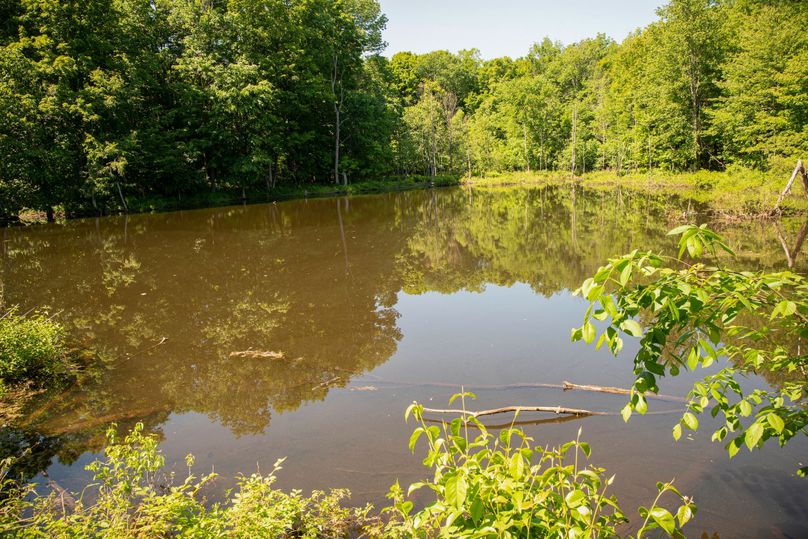 Farmer oswego 244.24 69