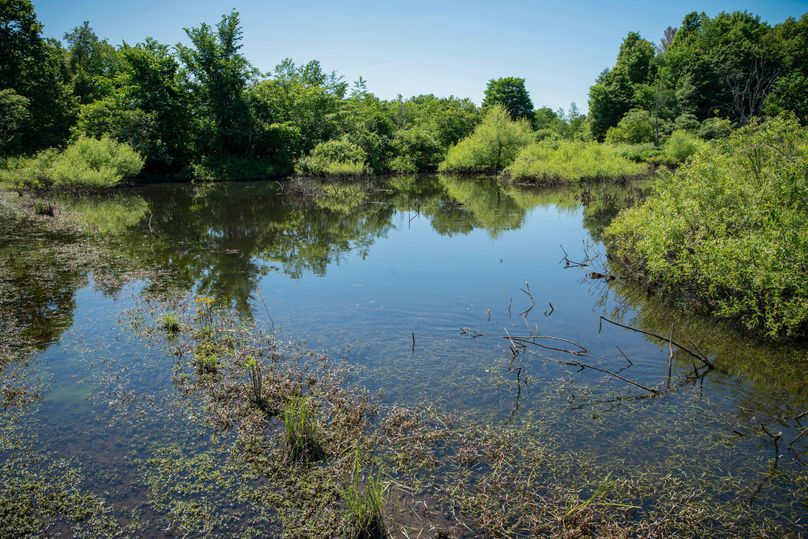 Farmer oswego 244.24 60