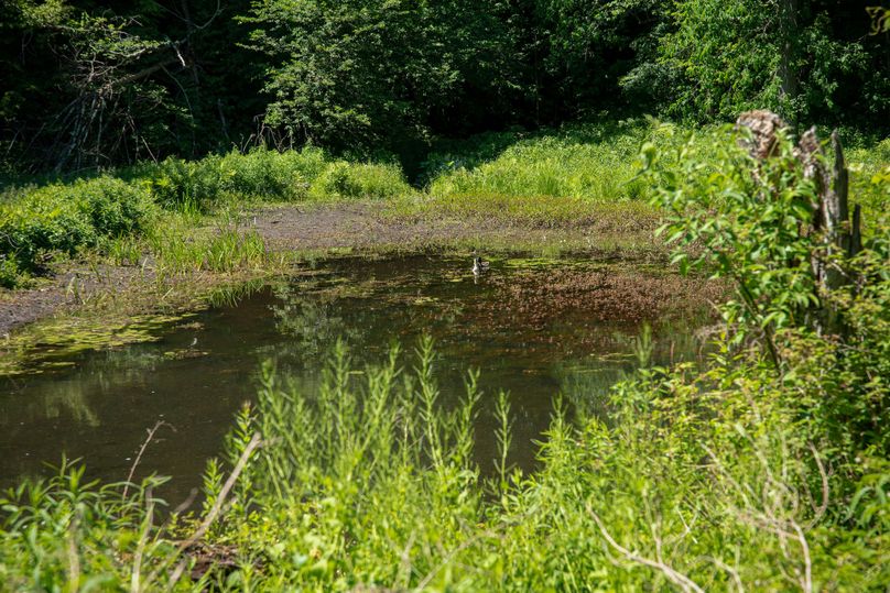 Farmer oswego 244.24 63