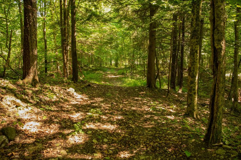 Farmer oswego 244.24 74